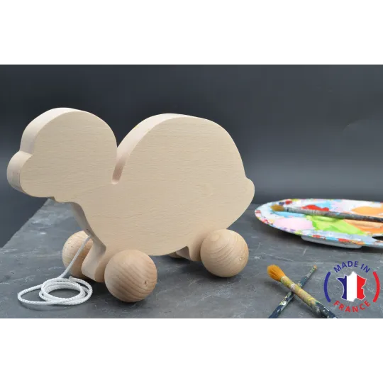 Raw wooden turtle to shoot Beech Wood - Au Bois Enchanté