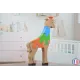 Puzzle en bois girafe Bois Hêtre - Au Bois Enchanté