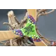 Boomerang Warramba Contre-plaqué finlandais, plaqué chêne. - Au Bois Enchanté
