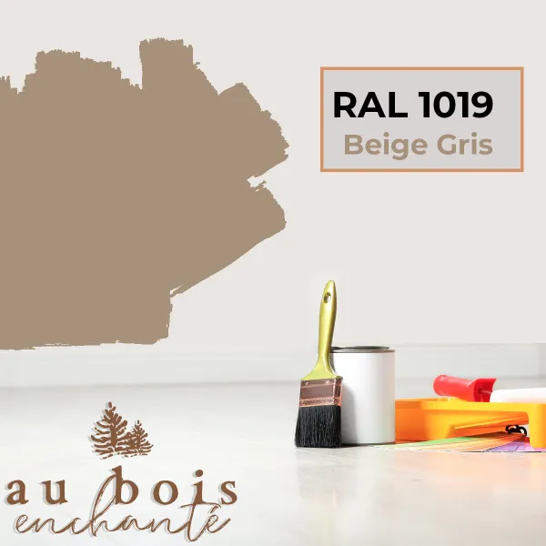 Peinture norme jouet Beige gris RAL 1019  - Au Bois Enchanté