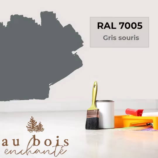 Paint standard toy Grey mouse RAL 7005  - Au Bois Enchanté