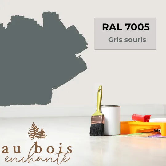 Peinture norme jouet Gris souris RAL 7005  - Au Bois Enchanté