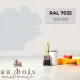 Paint standard toy Light grey RAL 7035  - Au Bois Enchanté