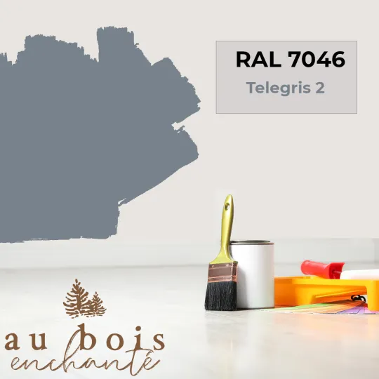 Paint standard toy Telegris 2 RAL 7046  - Au Bois Enchanté