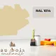 Teinte norme jouet Ivoire RAL 1014  - Au Bois Enchanté
