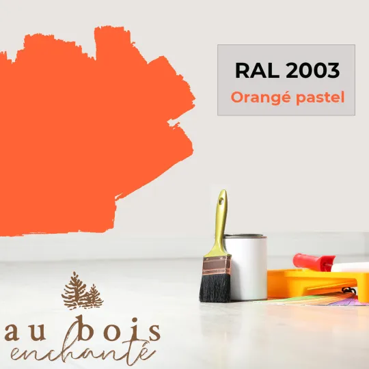 Teinte norme jouet Orangé pastel RAL 2003  - Au Bois Enchanté
