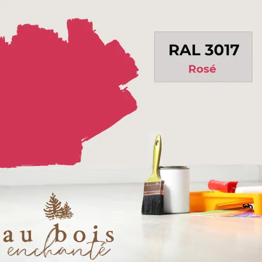Teinte norme jouet Rose RAL 3017  - Au Bois Enchanté