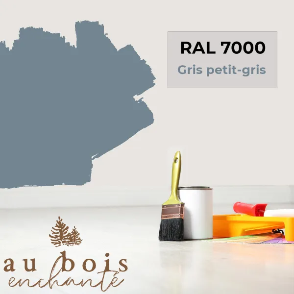 Teinte norme jouet Gris petit-gris RAL 7000  - Au Bois Enchanté