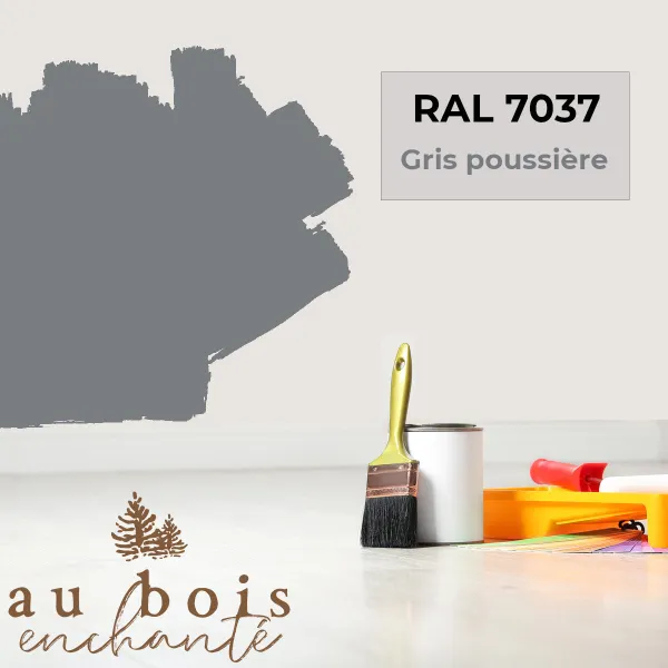 Teinte norme jouet Gris poussière RAL 7037  - Au Bois Enchanté