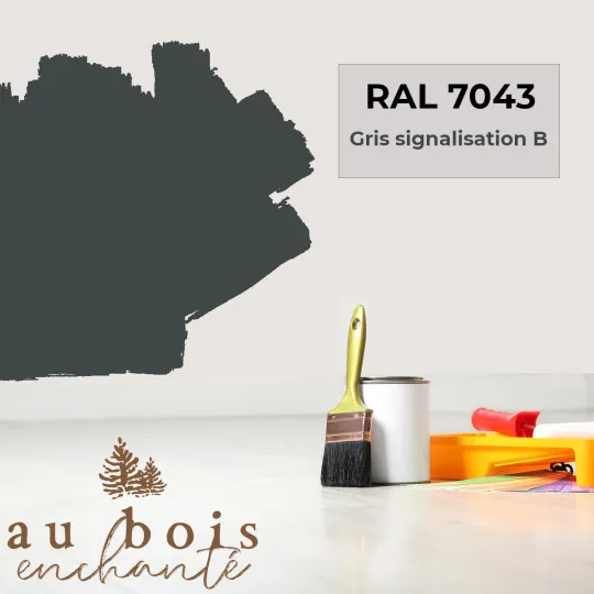 Teinte norme jouet Gris signalisation B RAL 7043  - Au Bois Enchanté