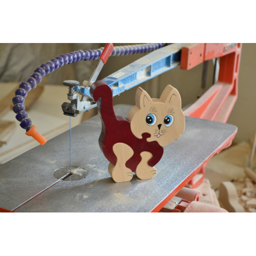 Introductory course on the scroll saw